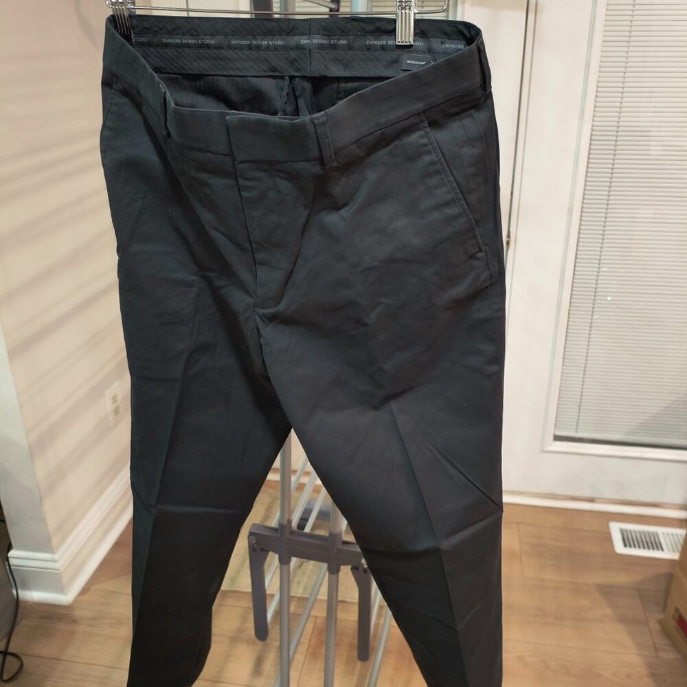 Express Dress Pants